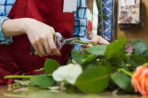 Rentrée des associations : Atelier Floral de Cresserons proposé par Loisirs en Fête